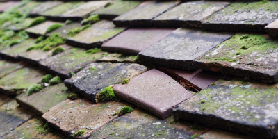 Yatton roof repair costs
